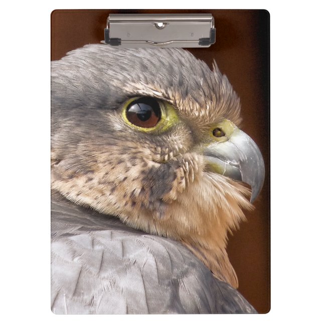 CARPETA DE PINZA MERLIN FALCON BIRD DE PRESA (Anverso)