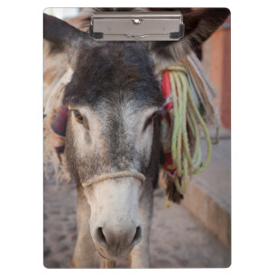 Carpeta De Pinza México, San Miguel De Allende 2