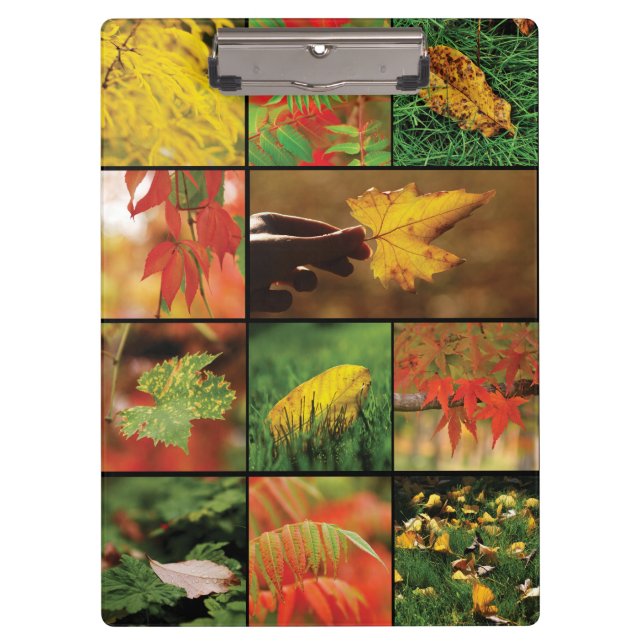 Carpeta De Pinza Mezcla de hojas de otoño (Anverso)