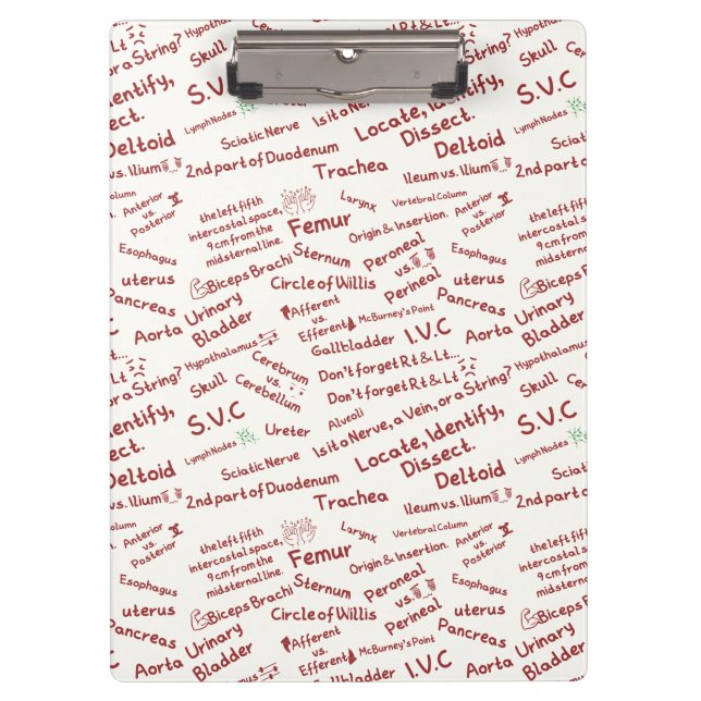 Carpeta De Pinza Minimalist Anatomy Pattern Medical Professional Cl (Anverso)