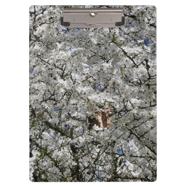 Carpeta De Pinza Mirabelle Blossom Clipboard (Anverso)