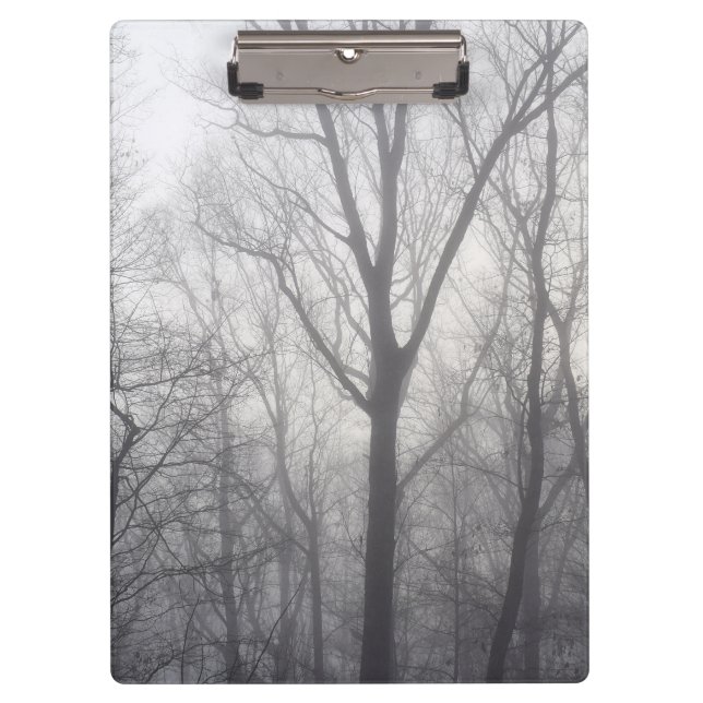 Carpeta De Pinza Misty Trees Gray Woodland (Anverso)