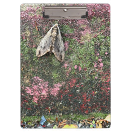 Carpeta De Pinza Moda inspirada en la naturaleza