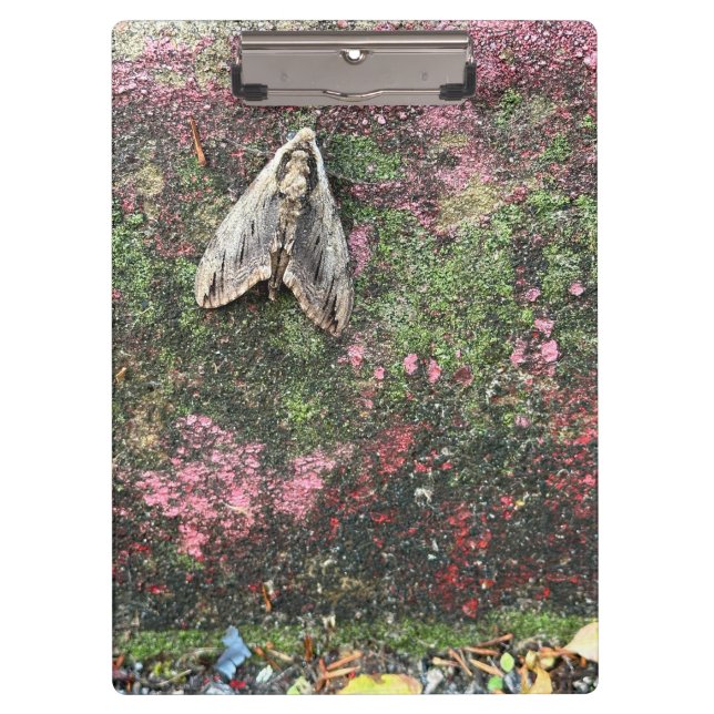 Carpeta De Pinza Moda inspirada en la naturaleza (Anverso)