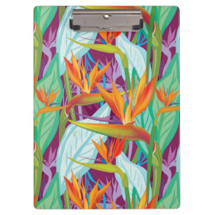Carpeta De Pinza Modelo del Strelitzia
