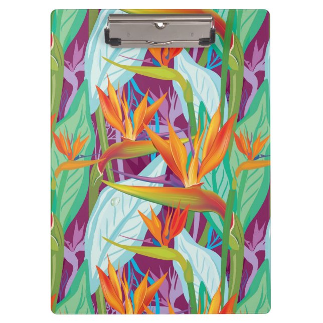 Carpeta De Pinza Modelo del Strelitzia (Anverso)