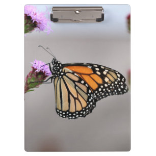 Carpeta De Pinza Monarca