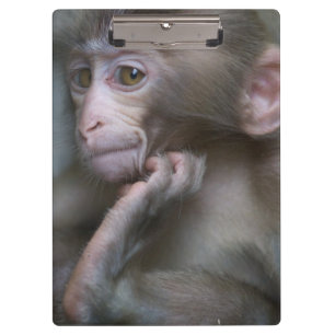 Carpeta De Pinza Mono del bebé