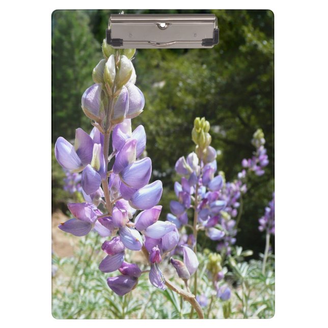 Carpeta De Pinza Montaña Lupins en Yosemite (Anverso)
