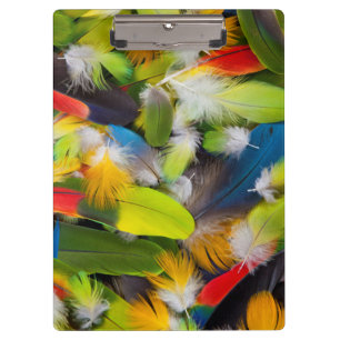 Carpeta De Pinza Montón de plumas coloridas