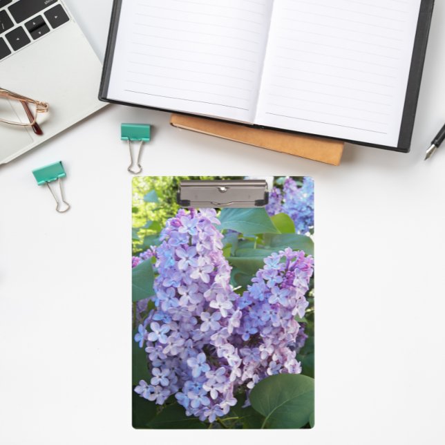 Carpeta De Pinza Morado Lilac Blooms Floral (In Situ)