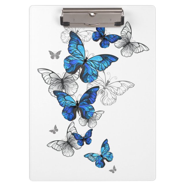 Carpeta De Pinza Morfo de las mariposas voladoras azules (Anverso)