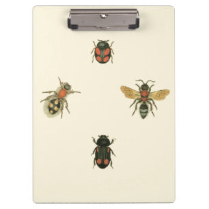 Carpeta De Pinza Moscas y escarabajos por Vision Studio