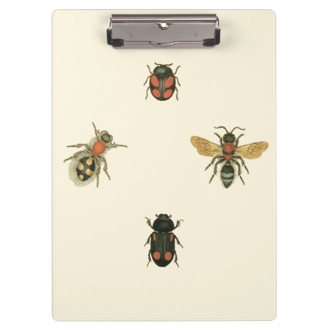 Carpeta De Pinza Moscas y escarabajos por Vision Studio (Anverso)