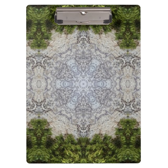 Carpeta De Pinza Moss verdes y arte de la naturaleza terrestre (Anverso)