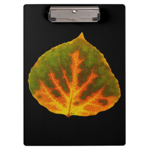 Carpeta De Pinza Naranja verde y hoja de aluminio amarillo #1