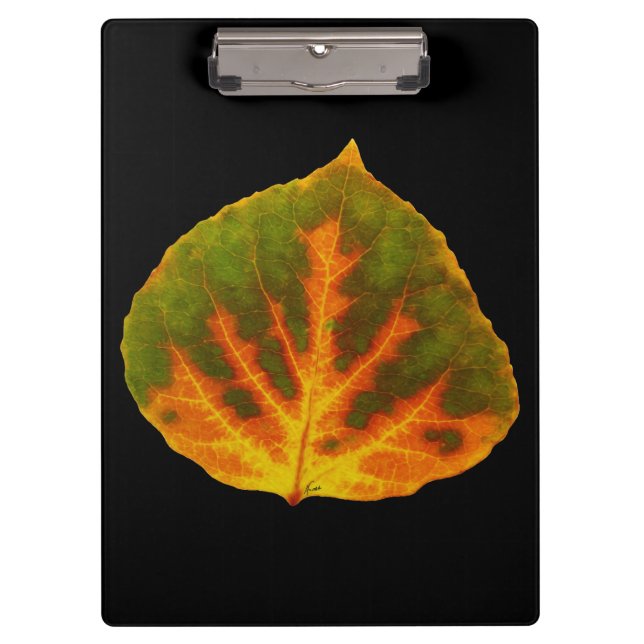 Carpeta De Pinza Naranja verde y hoja de aluminio amarillo #1 (Anverso)