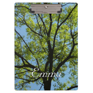 Carpeta De Pinza Naturaleza vibrante del roble de primavera