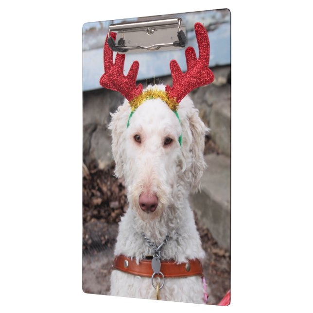 Carpeta De Pinza Navidades Ollie (Izquierda)