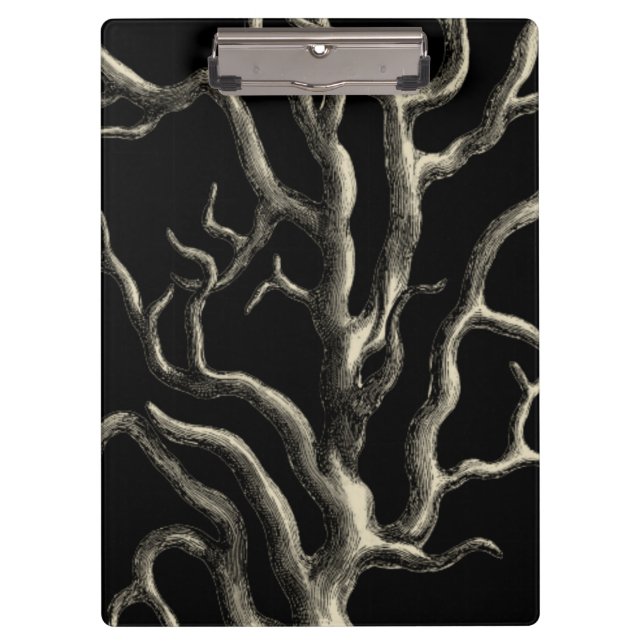 Carpeta De Pinza Negro y Tan Coral (Anverso)