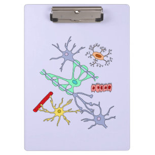 Carpeta De Pinza Neuronas Y Glía