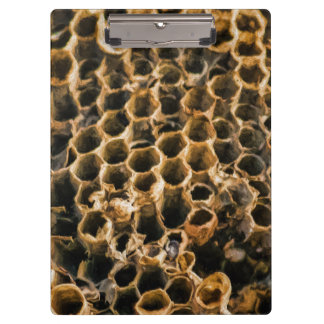 Carpeta De Pinza Nido vacío