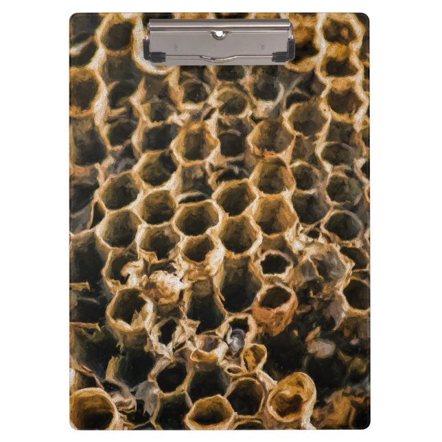 Carpeta De Pinza Nido vacío (Anverso)