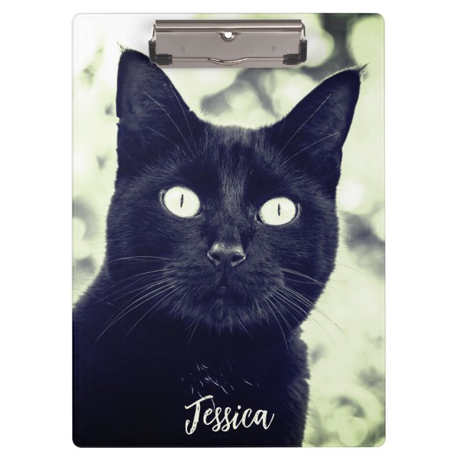 Carpeta De Pinza Nombre personalizado de foto animal de gato negro (Anverso)