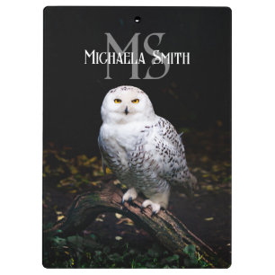 Carpeta De Pinza Nombre personalizado del monograma de búho de niev