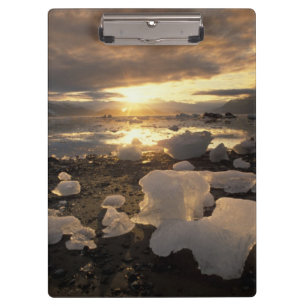 Carpeta De Pinza Norteamérica, EE. UU., Alaska, Bahía de Hielo, Pai