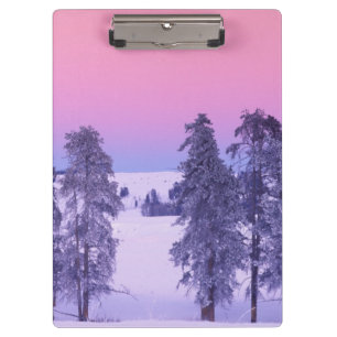 Carpeta De Pinza Norteamérica, EE. UU., Montana, Yellowstone