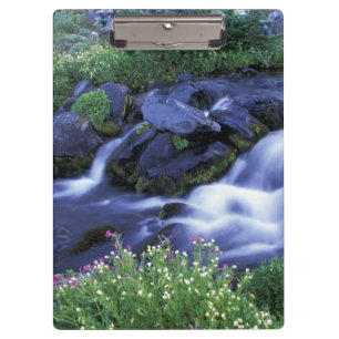 Carpeta De Pinza Norteamérica, EE. UU., Washington, Monte Rainier 3