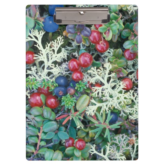 Carpeta De Pinza Norteamérica, Estados Unidos, Alaska, Paisaje, bay (Anverso)