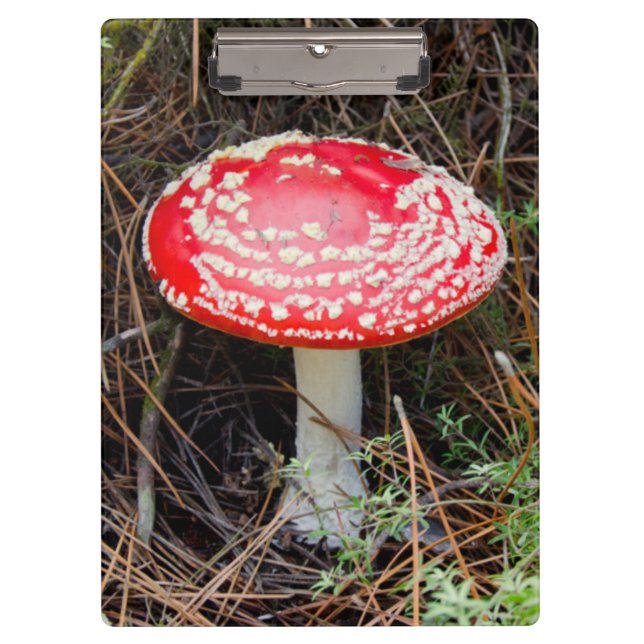 Carpeta De Pinza Nueva Zelanda, Rotorua, Zona Volcánica de Taupo (Anverso)