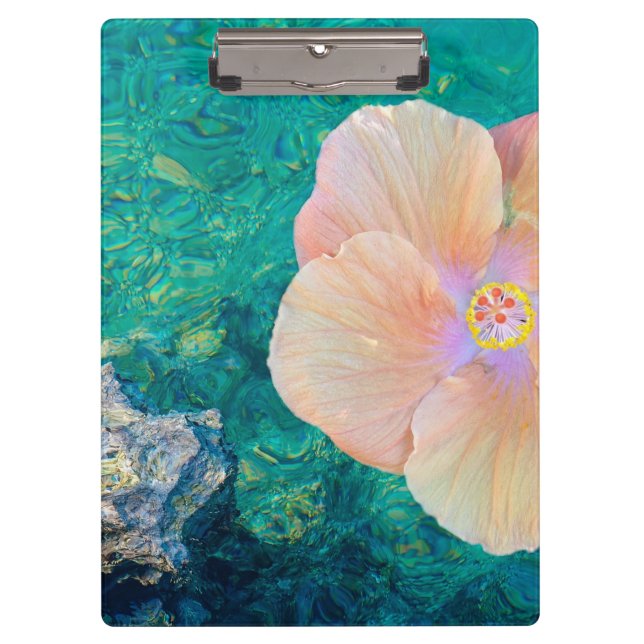 Carpeta De Pinza Océano de flores rosadas de Hibiscus Hawai (Anverso)