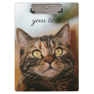 Carpeta De Pinza Ojos de gato