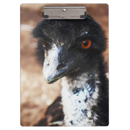 Carpeta De Pinza Ojos penetrantes del Outback