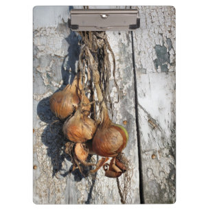 CARPETA DE PINZA ONGS