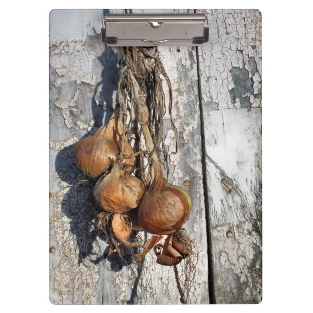 CARPETA DE PINZA ONGS (Anverso)