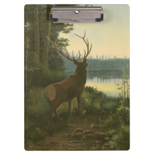 Carpeta De Pinza Opinión trasera los alces que miran sobre un lago