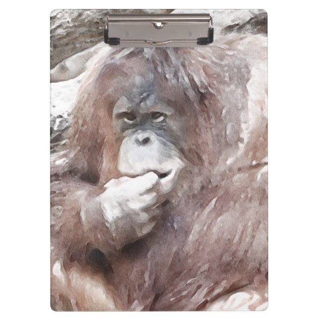 Carpeta De Pinza Orang 2 acuarela (Anverso)