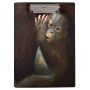 Carpeta De Pinza Orangután