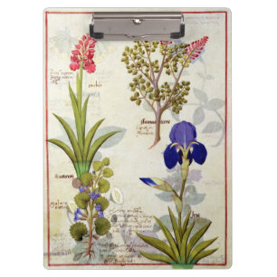 Carpeta De Pinza Orquídea y Fumitory o Hedera y iris del corazón