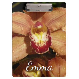 Carpeta De Pinza Orquídeas con gotas de lluvia floral