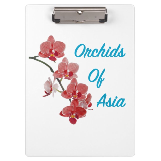 Carpeta De Pinza Orquídeas de Asia Spa de Día (Anverso)