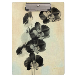 Carpeta De Pinza Orquídeas Rubor Paneles III