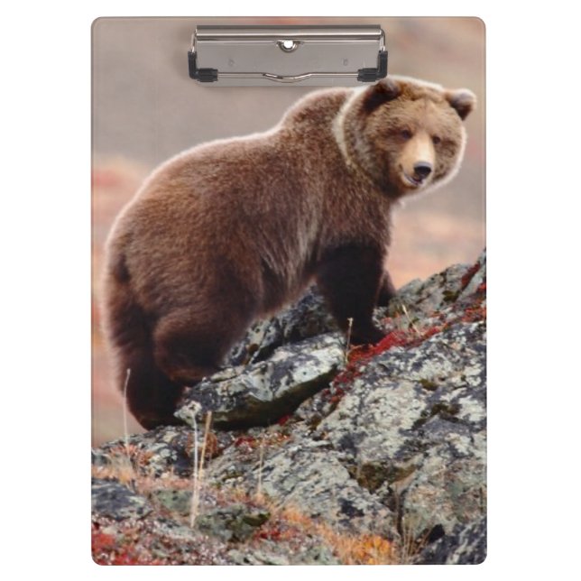 Carpeta De Pinza Oso de Denali Brown (Anverso)