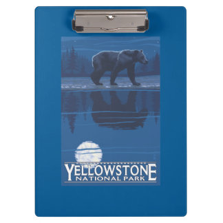Carpeta De Pinza Oso en claro de luna - parque nacional de