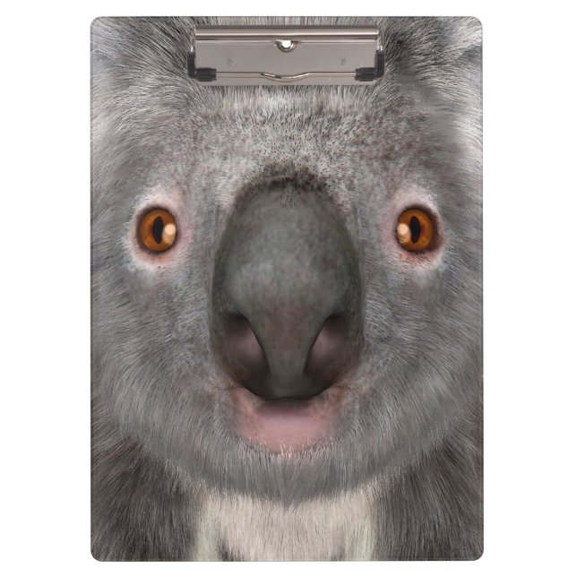 Carpeta De Pinza Oso Koala (Anverso)