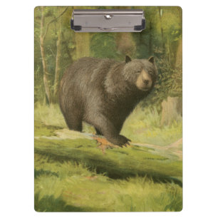 Carpeta De Pinza Oso negro que camina en un tronco de árbol